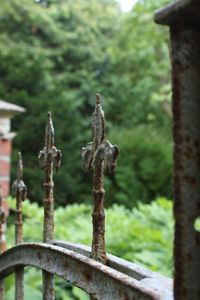 Bird perching on tree trunk