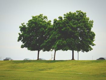 Trees on field against sky