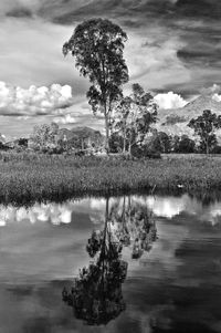 Scenic view of river against cloudy sky