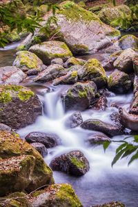 Scenic view of stream flowing through rocks