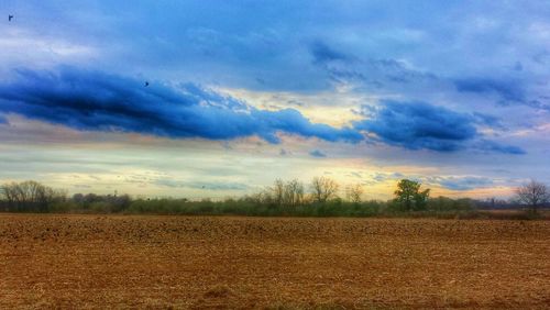 Scenic view of field against cloudy sky