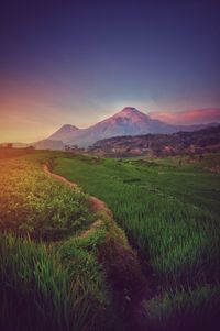 Scenic view of field against sky during sunset