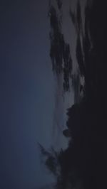 Low angle view of silhouette trees against sky at night