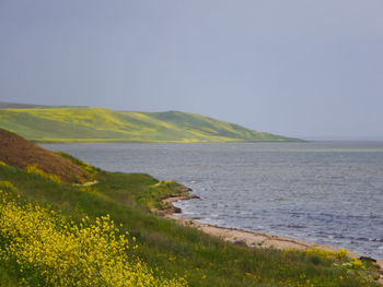 Scenic view of sea against clear sky