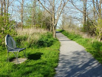 Empty chair by bare trees