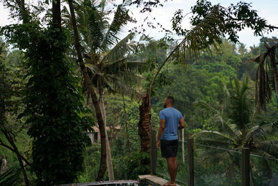 Rear view of man standing in forest