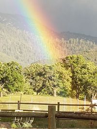 Scenic view of rainbow against sky