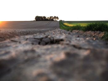 Surface level of land against clear sky