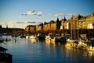 Boats moored in harbor