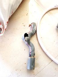 High angle view of birds in container