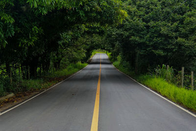 Road amidst trees