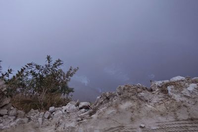 Scenic view of trees against sky