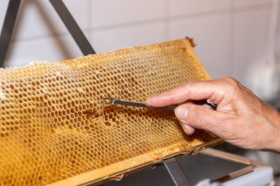 Cropped hand of woman holding honey