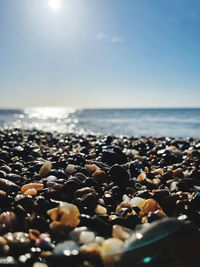 Surface level of stones on beach against sky