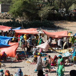 High angle view of people living in tent