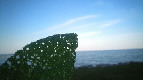 Close-up of sea against clear sky