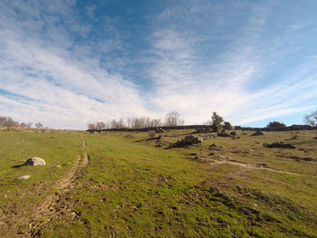 Scenic view of field against sky