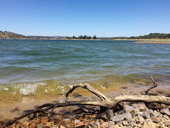 Scenic view of sea against clear sky