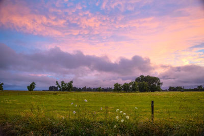 Scenic view of field against sky during sunset