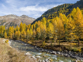Scenic view of river amidst trees against sky during autumn