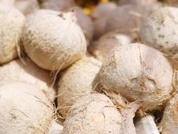 Close-up of coconut for sale in market