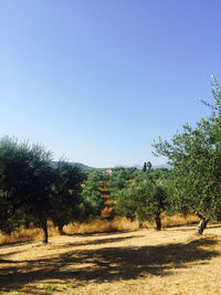 Scenic view of landscape against clear sky