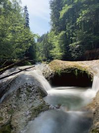 Scenic view of waterfall in forest