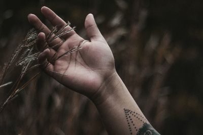 Cropped tattooed hand of man touching plants