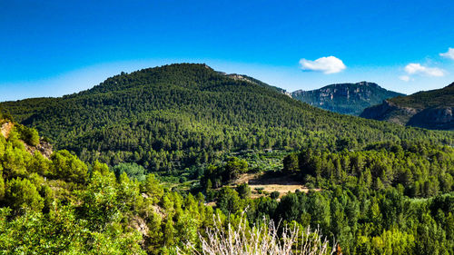 Scenic view of trees and mountains against blue sky