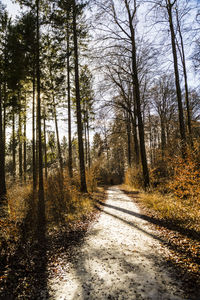 Road amidst trees in forest against sky