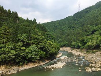 Scenic view of river amidst trees against sky