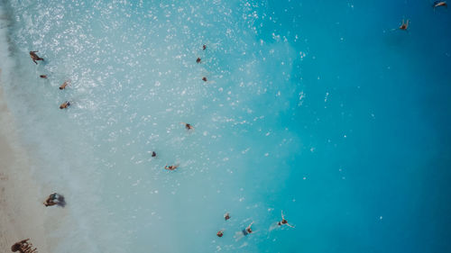 High angle view of people swimming in sea