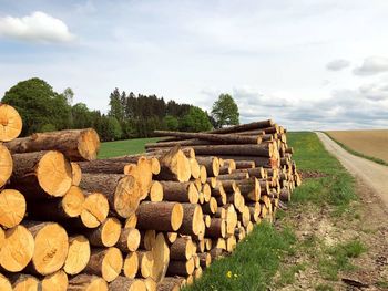 Stack of logs on field against sky