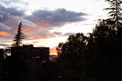 Silhouette trees and buildings against sky during sunset