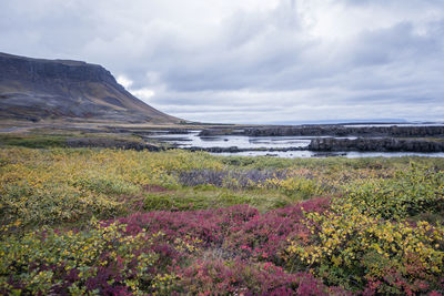 Scenic view of land against sky
