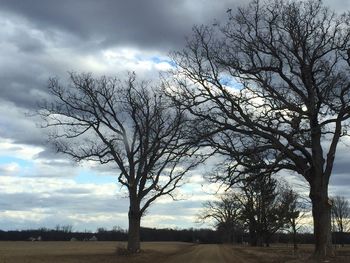 Bare trees on field against cloudy sky