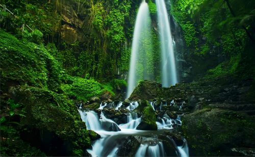 View of waterfall in forest