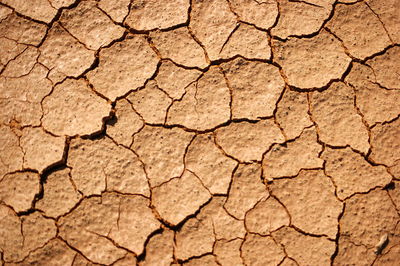 Full frame shot of cracked land