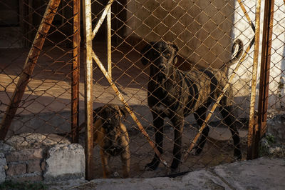 View of barbed wire fence in zoo