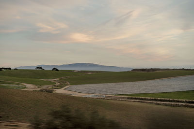 Northern california farmland at sunset