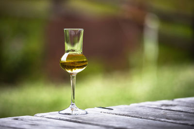 Close-up of wineglass on table