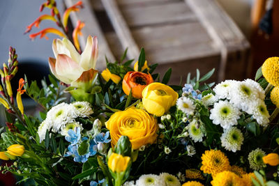 Close-up of yellow flowering plants