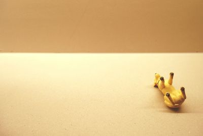 High angle view of stuffed toy on table