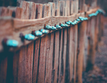 Close-up of rusty wood