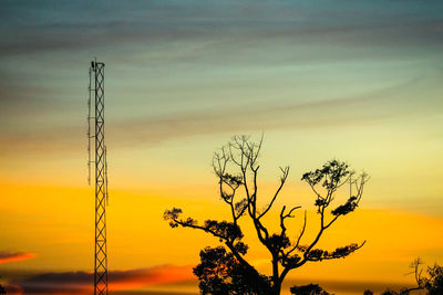 Low angle view of silhouette tree against sky at sunset