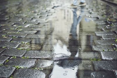Close-up of wet footpath