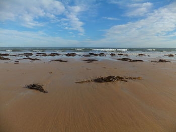 Scenic view of beach against cloudy sky