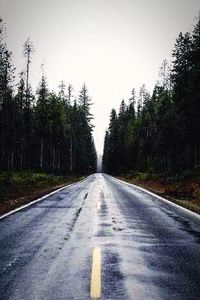 Empty road along trees