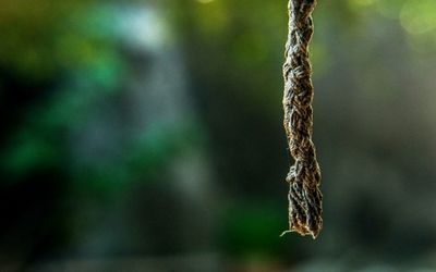 Close-up of ropes