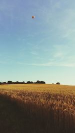 Scenic view of field against sky on sunny day